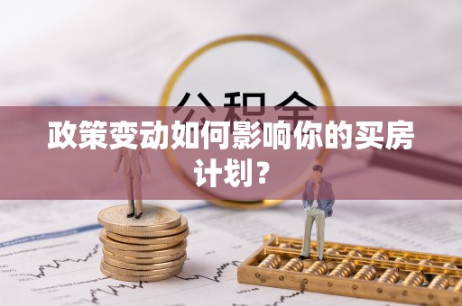 西区政策变动如何影响你的买房计划？