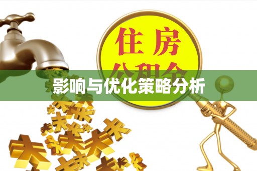 西区影响与优化策略分析