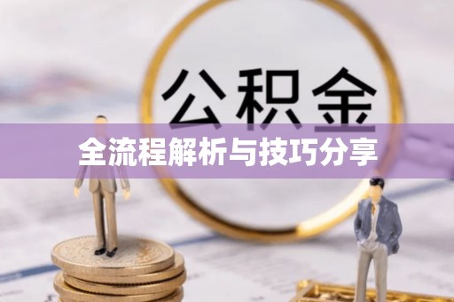 西区全流程解析与技巧分享